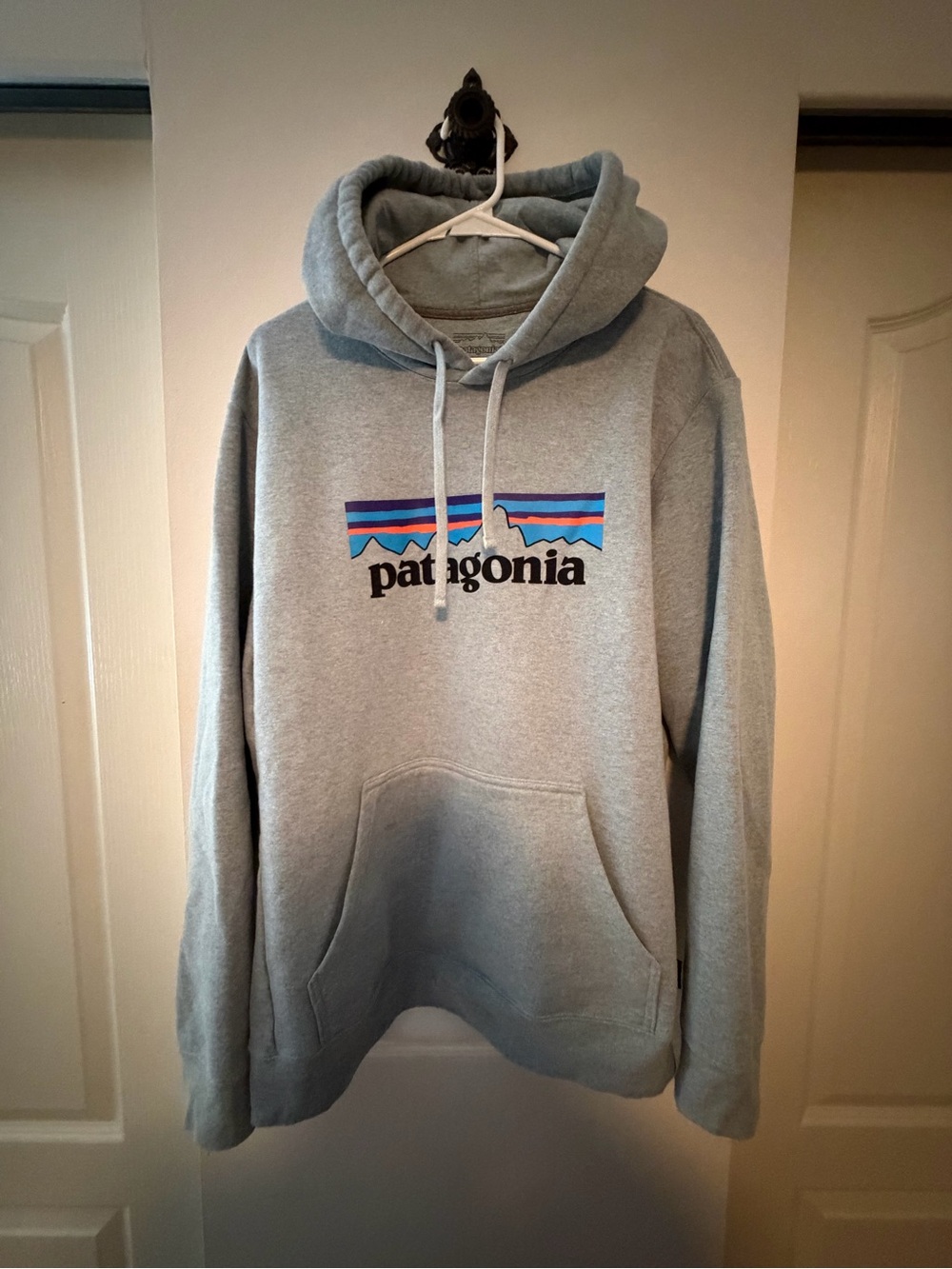 **NWOT Patagonia Pullover Hoodie with Multicolor Mountain Stripe Logo